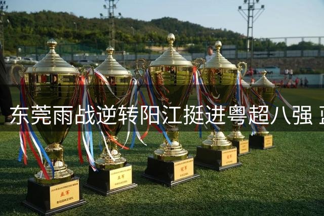东莞雨战逆转阳江挺进粤超八强 蓝宏政独中两元建功