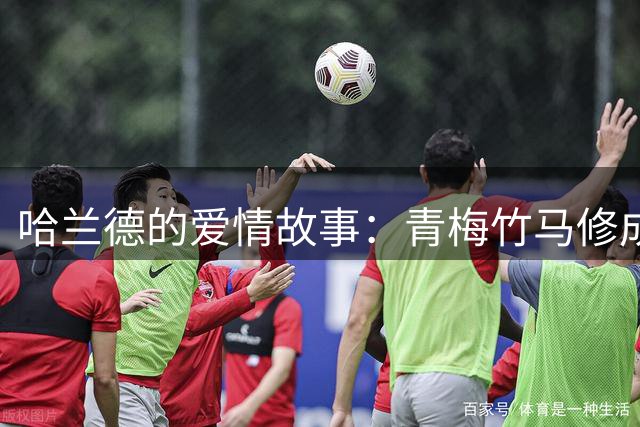 哈兰德的爱情故事：青梅竹马修成正果 女友主动追求他