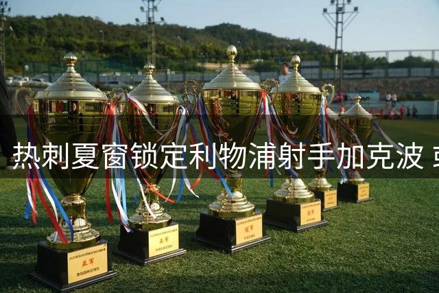 热刺夏窗锁定利物浦射手加克波 或与曼城新星组成边路双翼