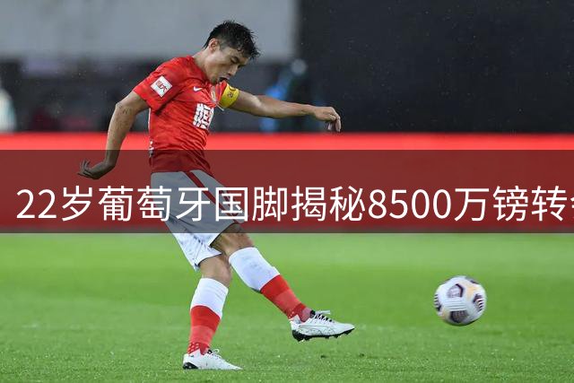 22岁葡萄牙国脚揭秘8500万镑转会选择：德泽尔比每日来电打动全家